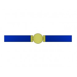 Blue Belt